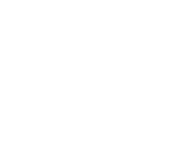 Treasure  Socks